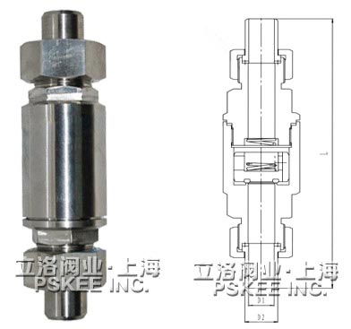 低温立式止回阀